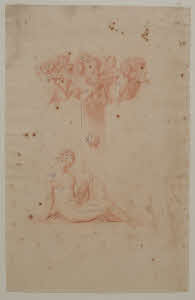 Visualizza l'immagine "Au. D 47"